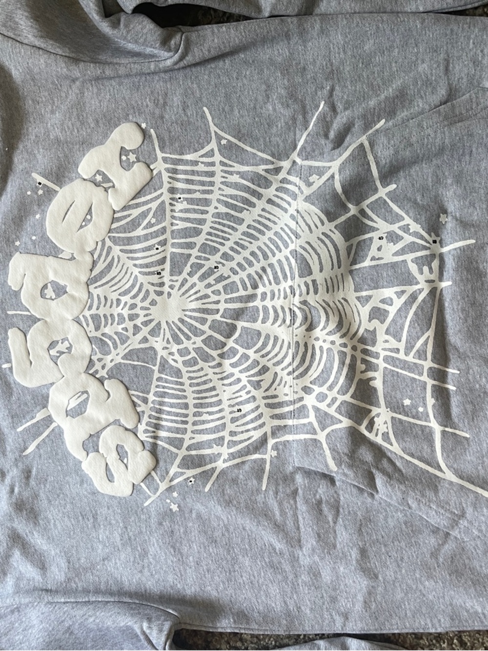 Gray Graphic Hoodie with White Spiderweb Print